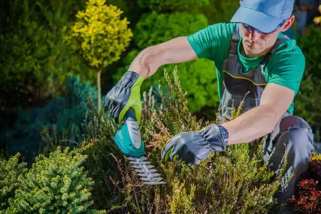 landscaping services Marshfield